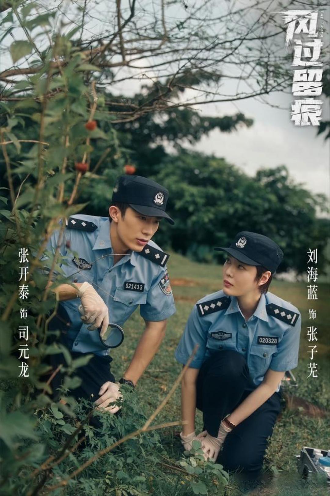 近期“热播剧”排个名:生命树第4、唐宫奇案第6、第一杀疯了!
