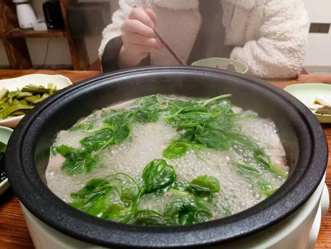 川渝有神菜,我决定带一行李箱的豌豆尖儿去赶飞机