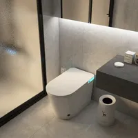 无水压限制才是刚需，自动翻盖反成干扰？智能马桶两大核心功能实测对比