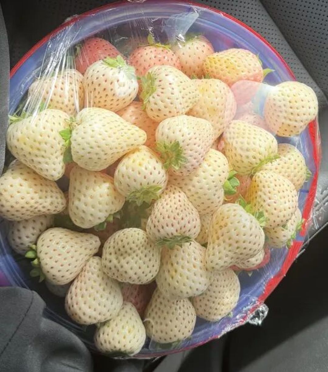 叮～吃过[老家地名]的草莓，我才知道以前吃的只能叫‘草莓味的果子’