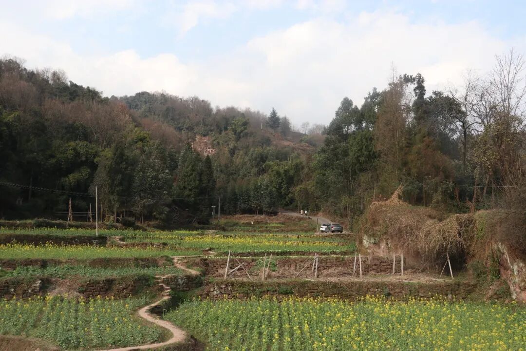 成都这座免费的唐代石窟,全国重点文物保护单位,越看越让人心痛