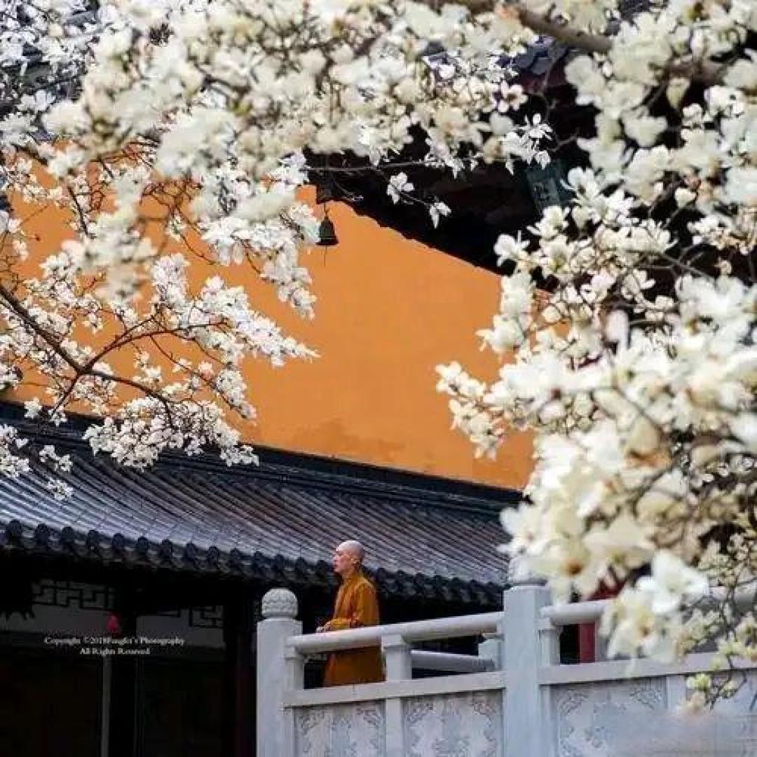 因果