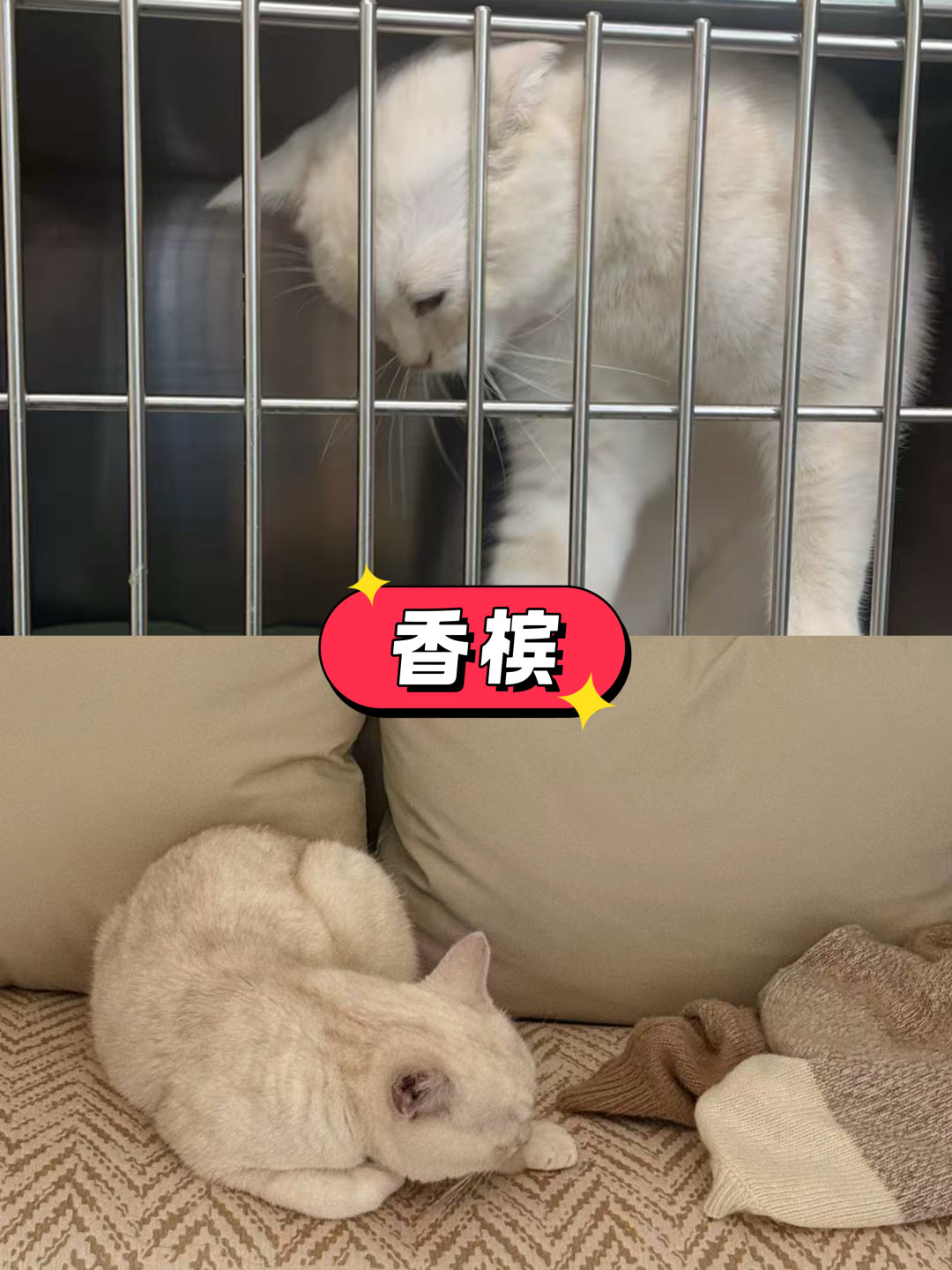救助一年总结