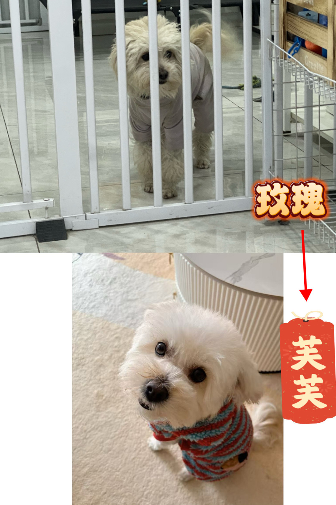 救助一年总结