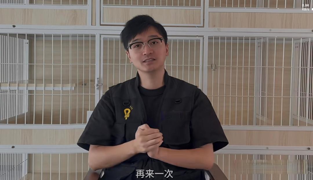 现在流浪猫太多,如何保护它们?