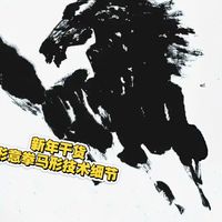 新年干货，形意拳马形技术细节，立拳横拳区别，打击力线与接触点