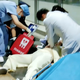 东莞19岁女生坐31小时硬座返校，突然心脏骤停，真凶竟是“久坐”
