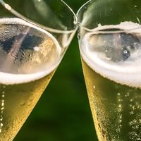 气泡葡萄酒，家庭聚会新选择