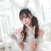 『糖水日记』malymoon 婚纱兔 志捷Q7柔光箱