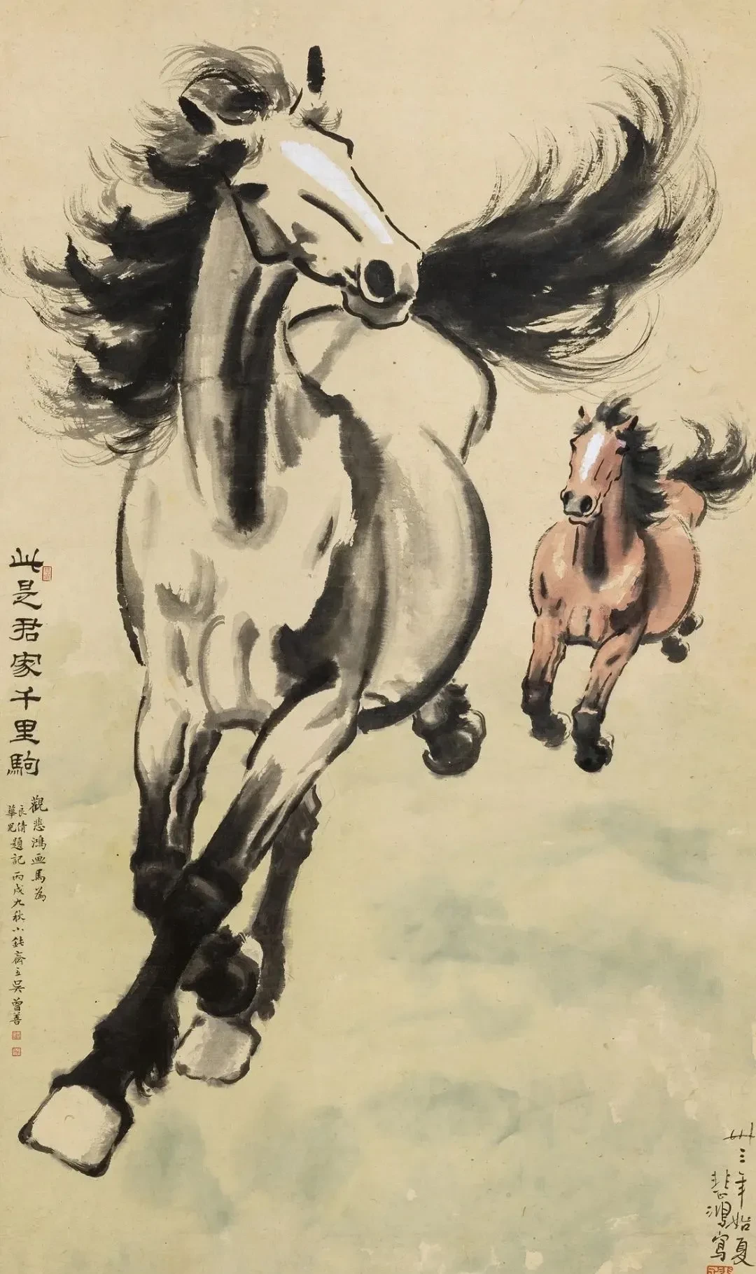 一笔奔马,千年气韵|这匹悲鸿马,为何跨越世纪仍经典?