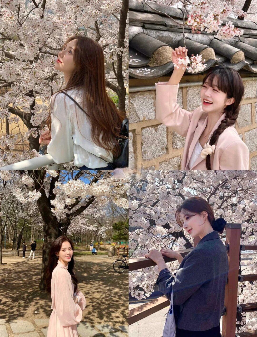 🌸跟着韩女学拍照 樱花季氛围感动作及穿搭