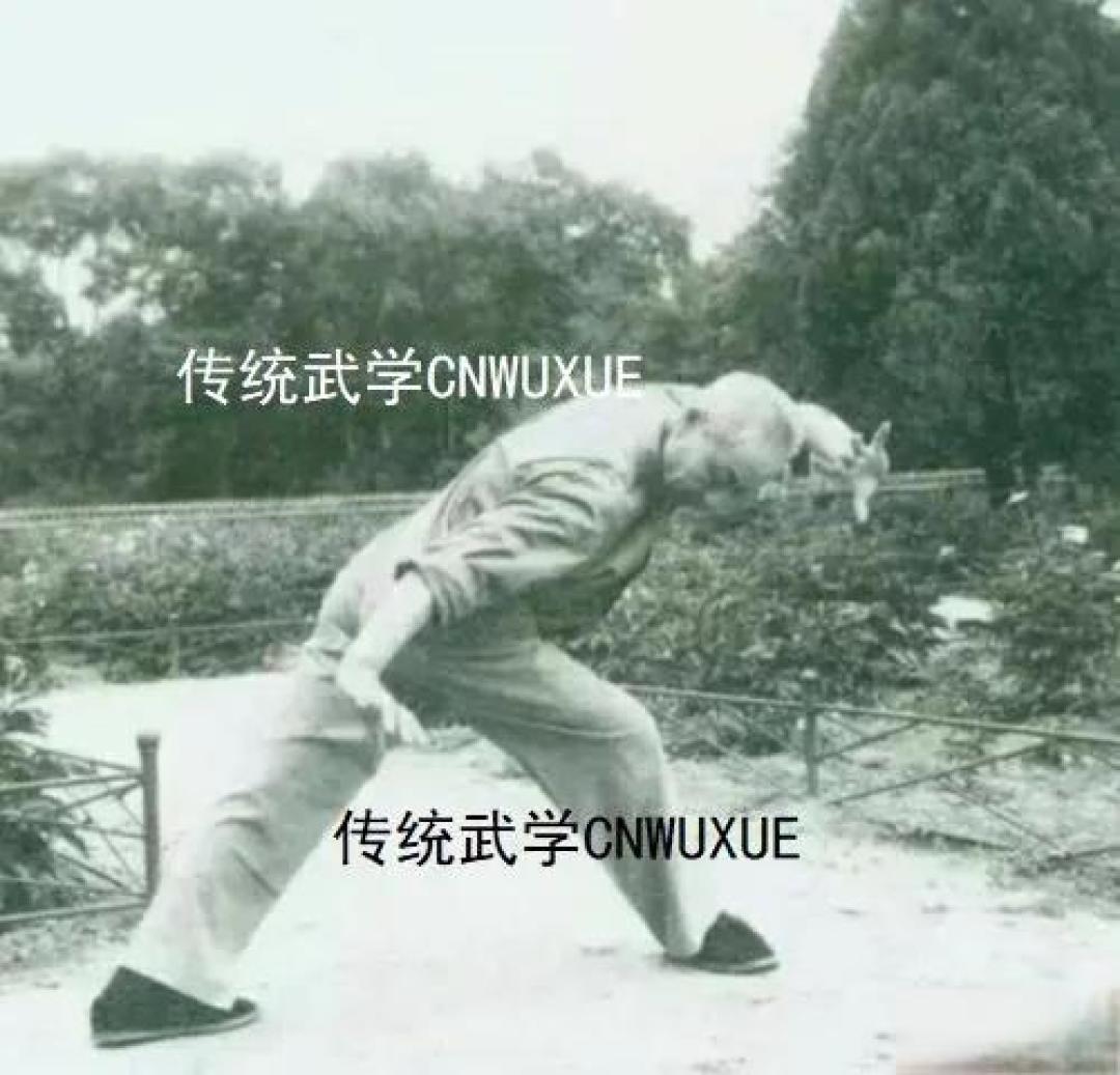 解密螺旋力的训练