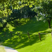 春日露营烧烤指南：一片五花肉的四种“性格”，你pick哪一款？