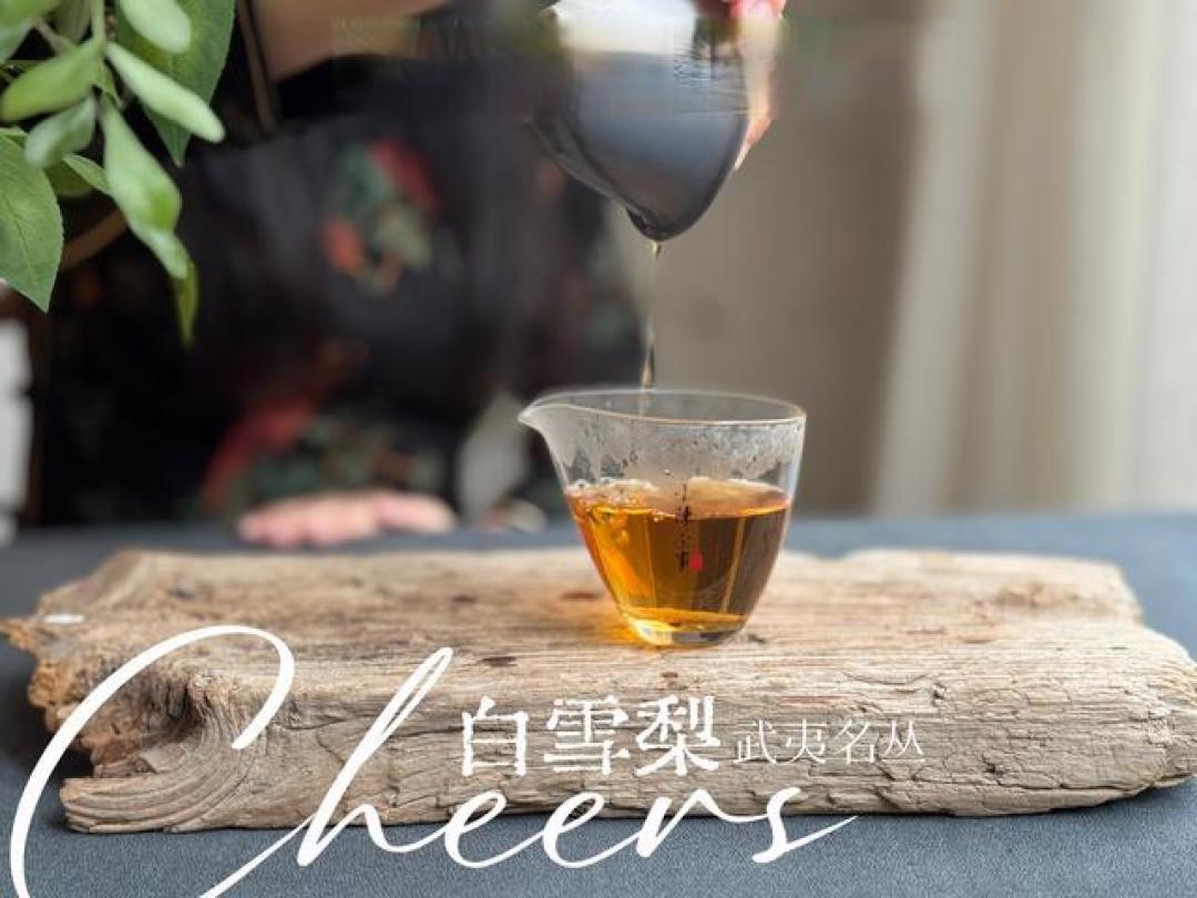 老茶客都不一定懂！岩茶里的茶气、岩韵、丛味，都是什么意思？