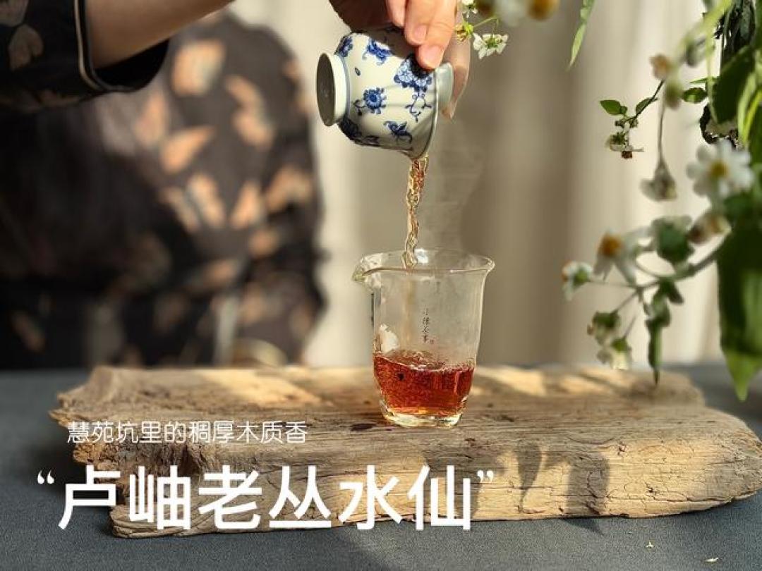 老茶客都不一定懂！岩茶里的茶气、岩韵、丛味，都是什么意思？