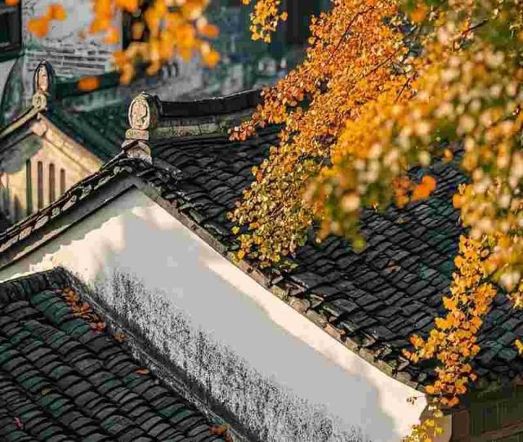 我是扬州人,去了趟山东济宁,不吹不黑,济宁比网上评价的还要好