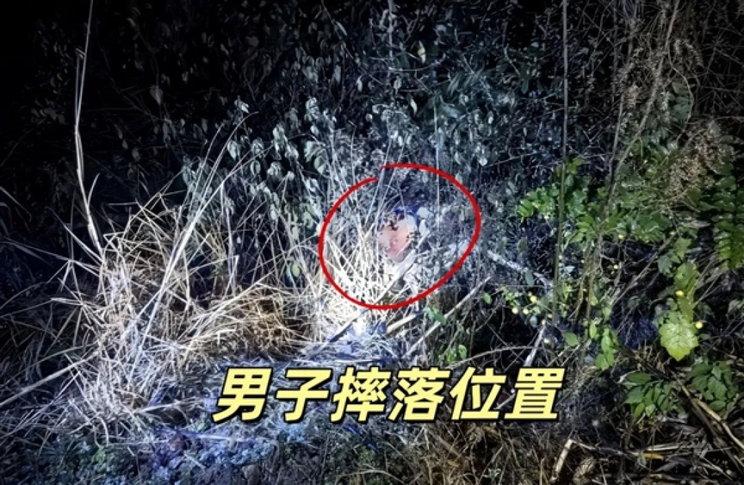 深夜高速惊魂!男子翻护栏坠落十余米 起因竟是内急