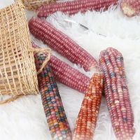 需求突然暴涨！年轻人纷纷入坑，价格炒到上万元，一度抢光断货，医生提醒