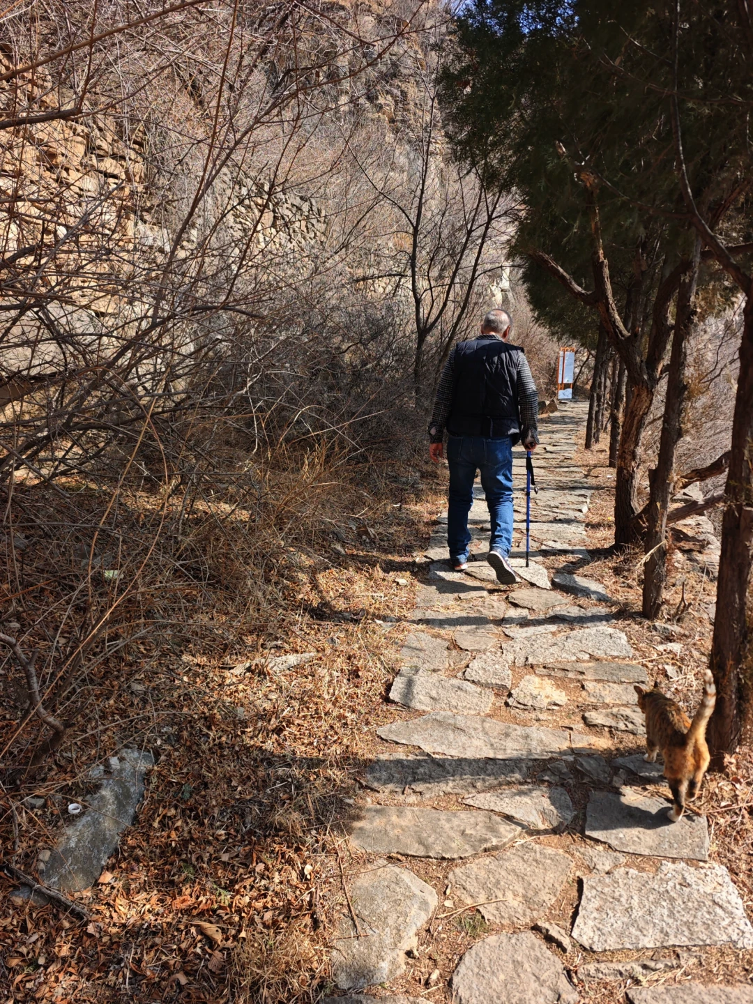 齐长城:淄川涌泉村