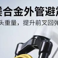 中国风24寸油压碟刹