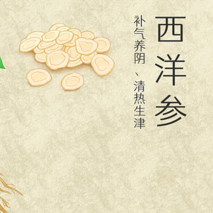 2026年西洋参品质选购指南：10大品牌、产地、等级权威解读