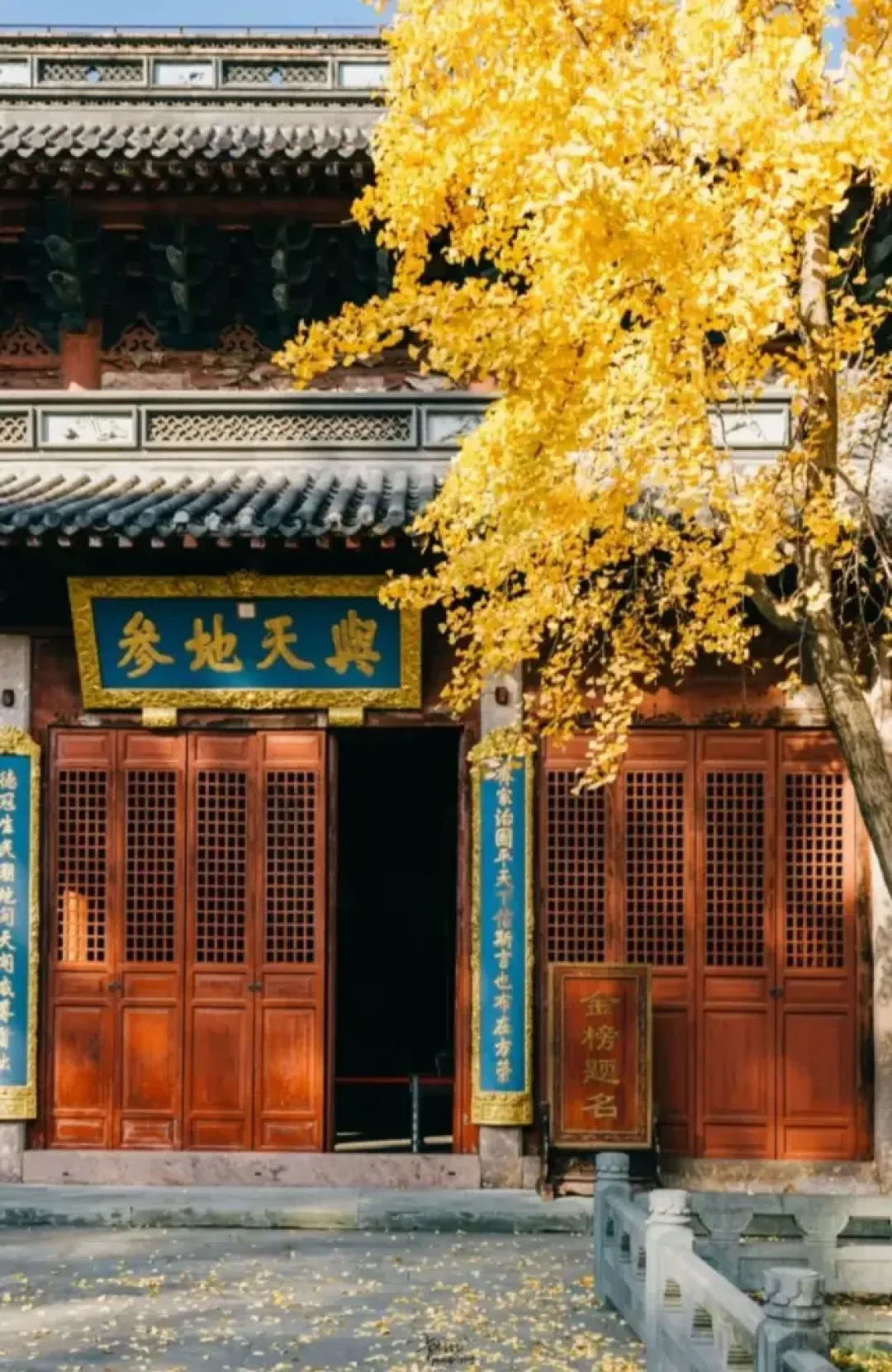 走进江南秋日天花板老城，连空气都是桂花香