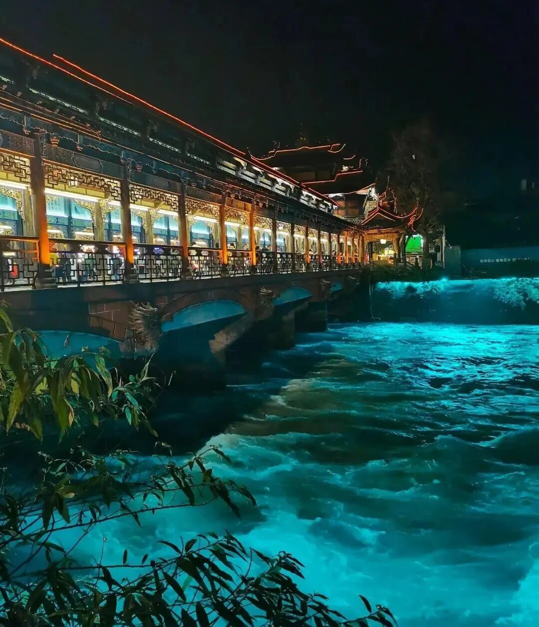 别再问成都夜景去哪！都江堰的浪漫“荧光海”-蓝眼泪，美到犯规