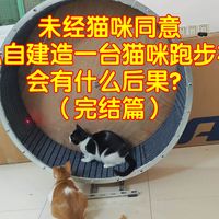 未经猫咪同意，私自建造一台猫咪跑步机，会有什么后果？（下）完结篇