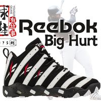球鞋有故事 第173期 Reebok Big Hurt 斑马重击