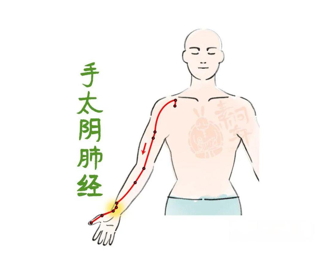 春天肝气不畅的人,建议多做这件事!低成本“养气血”,坚持一个月,比吃逍遥丸还管用