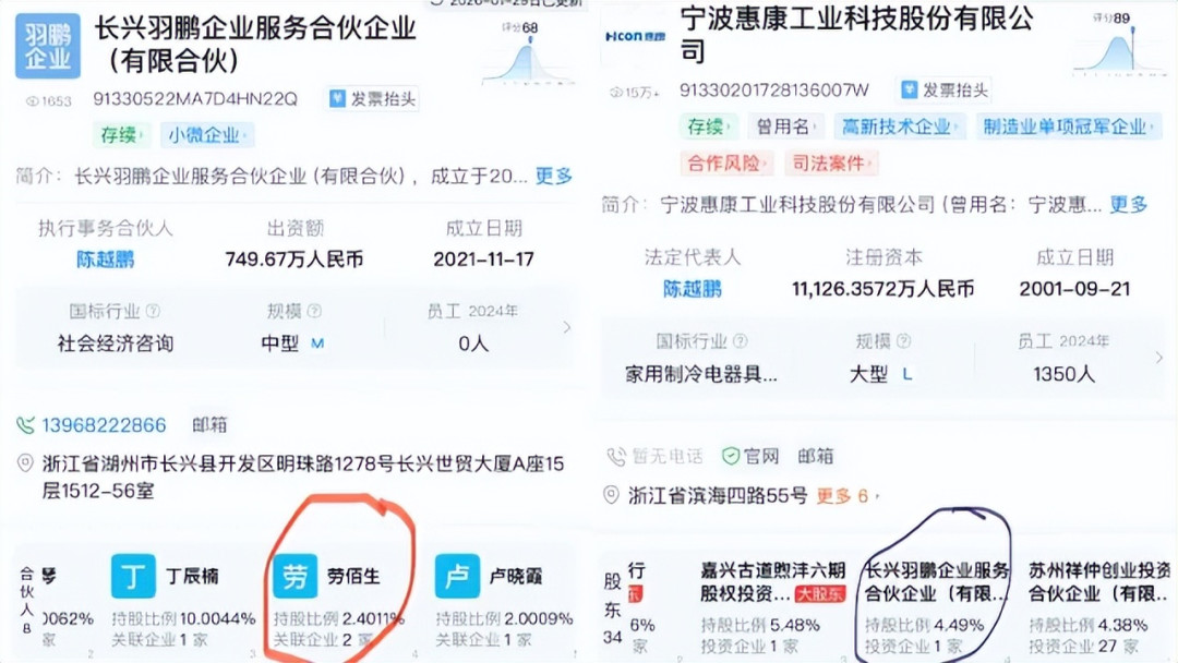 惠康科技IPO供应商关联疑云：反常代持与关系资本阳光化之困 | 深度