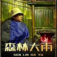 森林大雨 护林员眼镜哥巡山时来到了河流上游,竟在河流附近搭建了一处庇护所,躲过暴雨并吃上美味的食物#解压 #助眠 #庇护所建造 #荒野建造 #大雨还在下