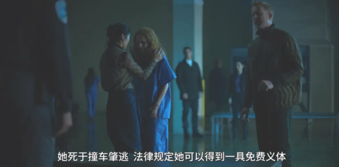 不愧是Netflix!这部黄暴美剧,太过瘾了