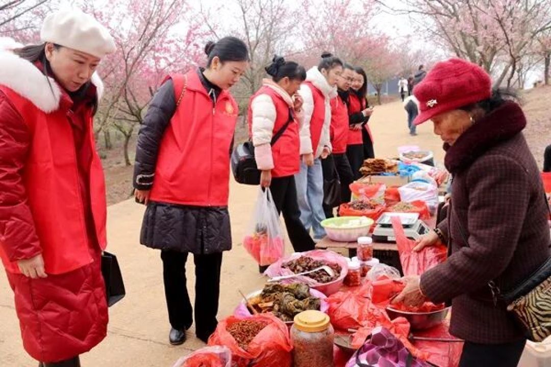 邵东千亩樱花烂漫惹人醉
