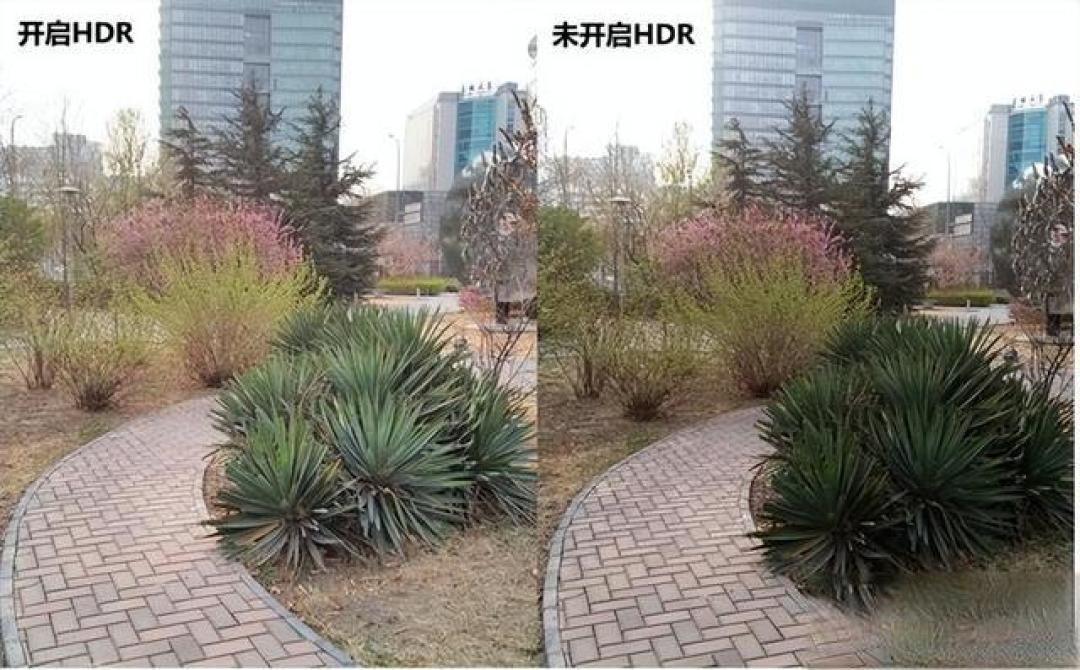 摄影经验｜手机拍照只看清晰度？色彩深度动态范围才是画质关键