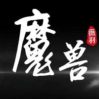 魔兽世界薇羽整合插件介绍 明天就开至暗之夜正式版了，今天把插件包内的单体插件和功能介绍下。
#魔兽世界 #魔兽世界勇士集结 #薇羽Anne #我们比你们多一个魔兽世界  #魔兽世界时光服