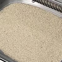 冲水直排式真能告别异味？智能猫厕所除臭逻辑与安全设计深度拆解