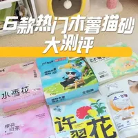 是谁一直在蹲的木薯猫砂测评终于来啦！省流版在最后哦 大家有什么想补充的可以放在评论区～#木薯猫砂 #木薯猫砂测评 #猫砂测评 #新手养猫 #养猫人