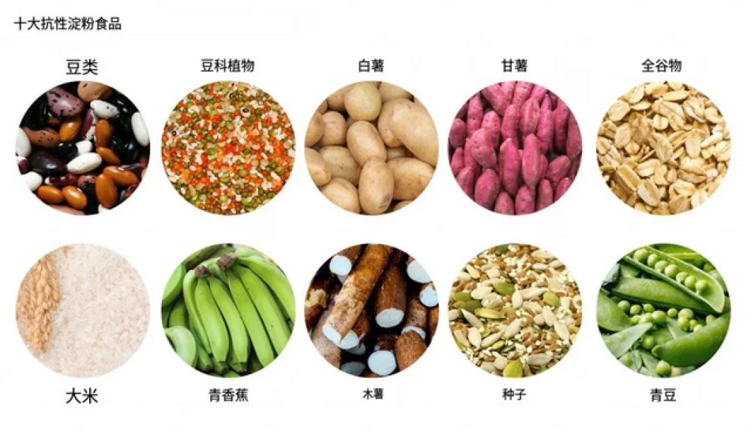 这种主食能减脂?上海交大:抗性淀粉可提升AKK菌,助力肝脂降30%