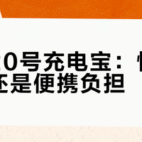 紫米20号充电宝：性能王者还是便携负担？用户真实观点大PK