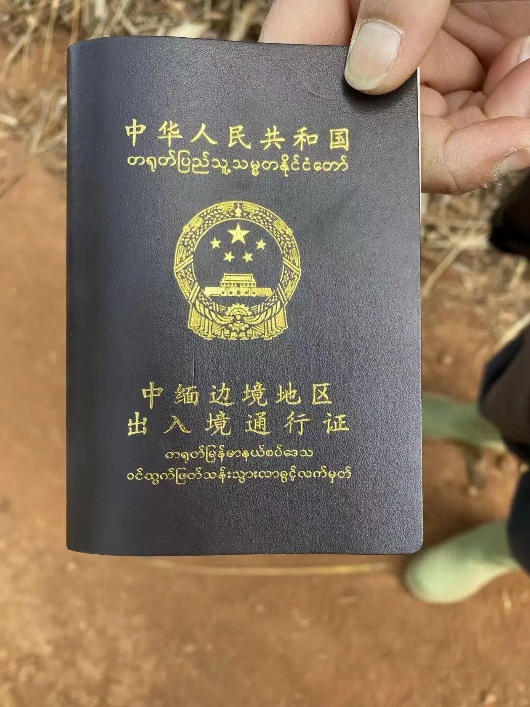 西双版纳之行，我最大的收获竟不是景色和美食，而是4个醍醐灌顶的顿悟……（附旅游攻略）