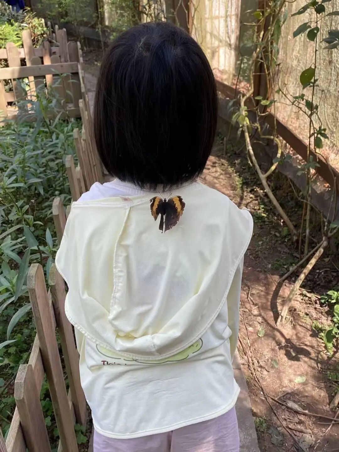 西双版纳之行，我最大的收获竟不是景色和美食，而是4个醍醐灌顶的顿悟……（附旅游攻略）