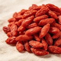 调查发现：老人经常干嚼枸杞，用不了多久，身体或有这4种改善！