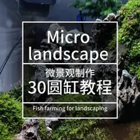 3030圆缸水陆景制作过程。在桌面放这样个小景，养几条小鱼很有意境。#鱼缸造景  #苔藓微景观  #水陆缸造景  #微景观DIY