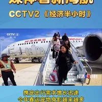 春节期间,你带“毛孩子”一起旅行了吗?新需求激活新消费,“毛孩子”拉动大市场。新海航海南航空宠物进客舱服务,宠物也能陪伴主人一起乘机出行。#海南航空 视频来源:CCTV2《经济半小时》