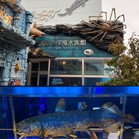 全球唯一的深海主题水族馆