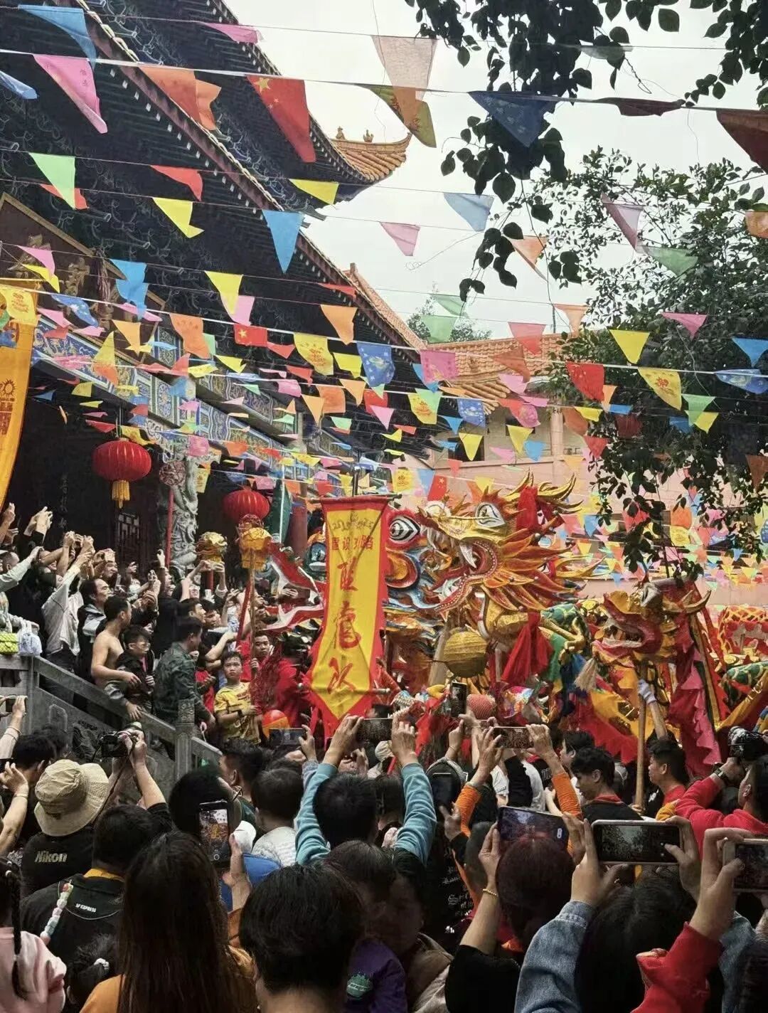 太燃啦！“东方狂欢节”宾阳舞炮龙震撼上演，千年非遗燃动全城！