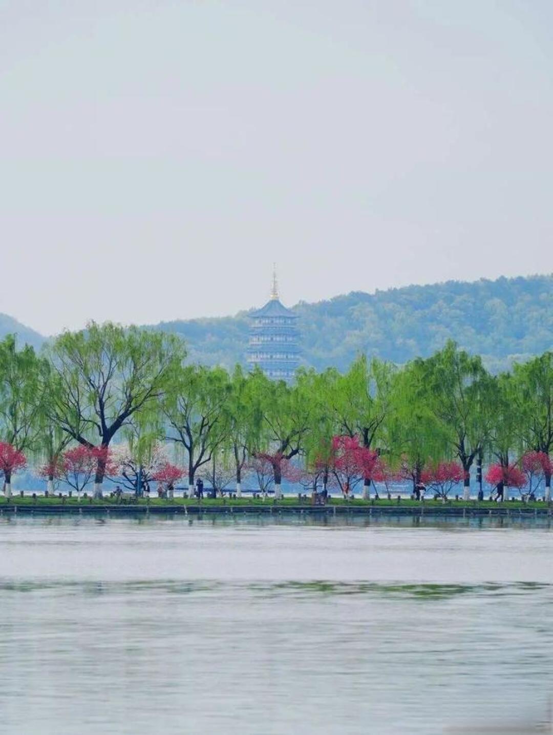 中国高性价比的6个AAAAA景区,景美票价低!一年去一个不心疼!