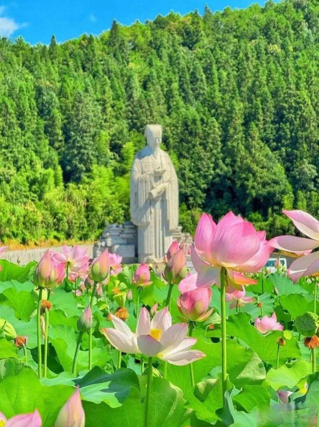 中国高性价比的6个AAAAA景区,景美票价低!一年去一个不心疼!