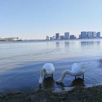 家长对青春期孩子的着急与焦虑，是一种最大的负能量，会起反作用